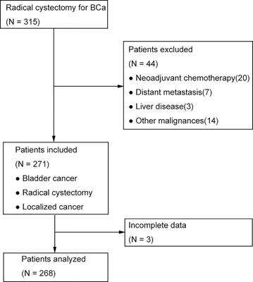 Preoperative Serum Gamma-Glutamyltransferase as a Prognostic Biomarker in Patients Undergoing Radical Cystectomy for Bladder Cancer